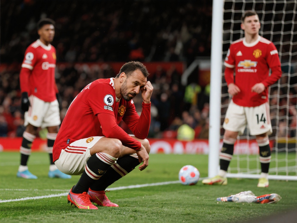 绽放光芒 绽放光芒